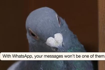 Con un inusual video, WhatsApp comparó la privacidad de enviar un SMS con una paloma mensajera