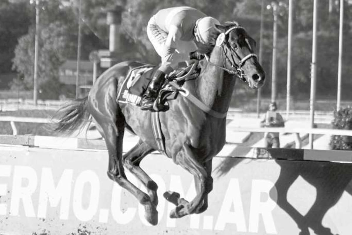 Con un manejo exacto de Wilson Moreyra, Roman Rosso ganó de punta a punta, por 6 cuerpos