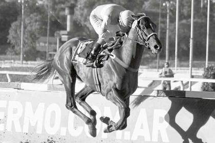 Con un manejo exacto de Wilson Moreyra, Roman Rosso ganó de punta a punta, por 6 cuerpos