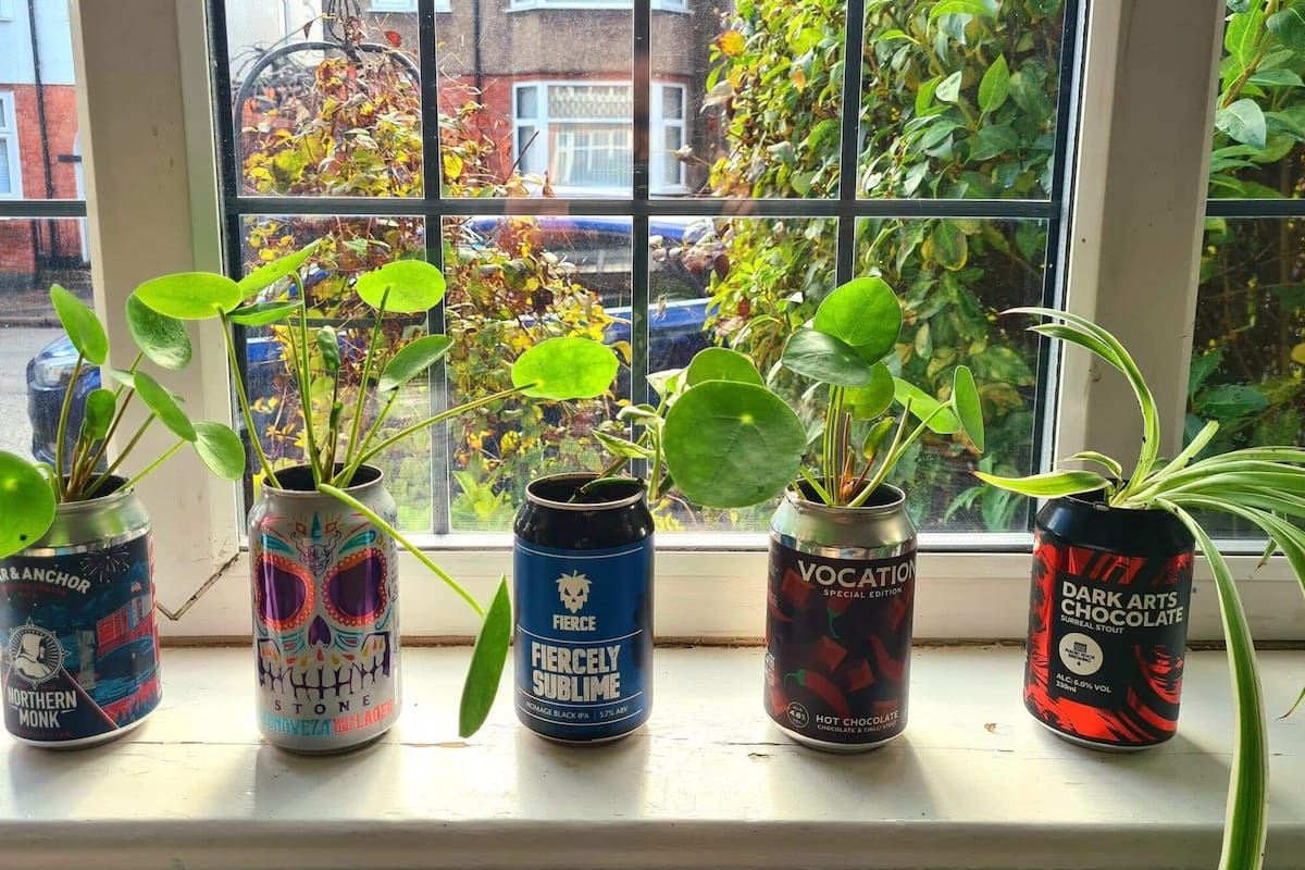 Con un poco de creatividad y esfuerzo, es posible transformar lo ordinario en extraordinario y lo desechable en deseable