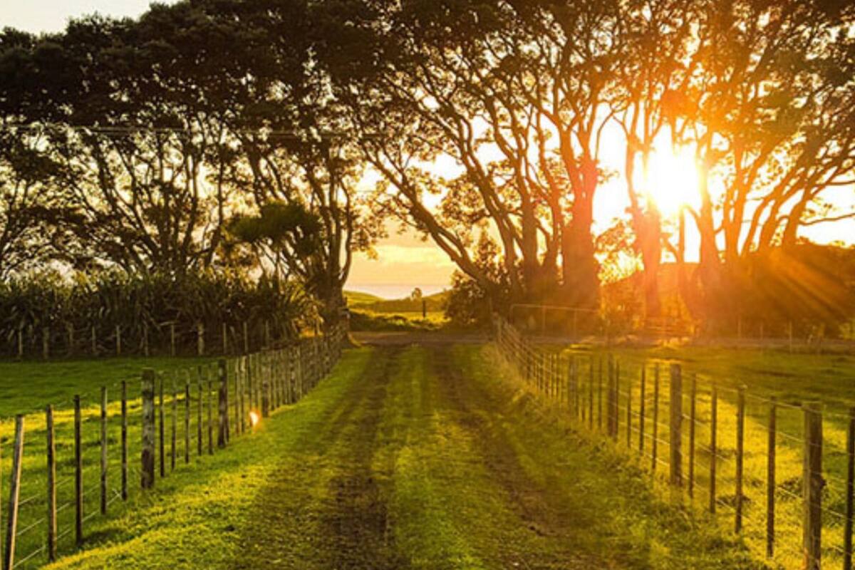 Con un rumbo aparentemente más consolidado y mejores señales de normalidad, las consultas del 2023 se transformaron ahora en recorridas de campos