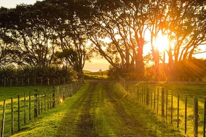 Con un rumbo aparentemente más consolidado y mejores señales de normalidad, las consultas del 2023 se transformaron ahora en recorridas de campos