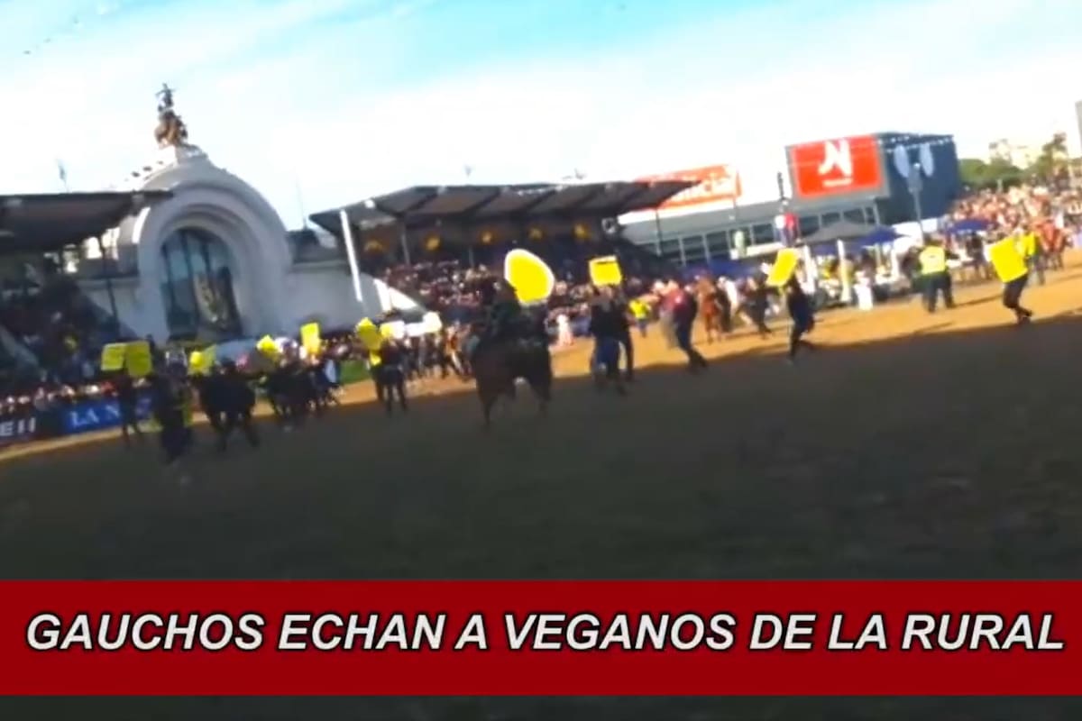 Con un video de un gaucho sacando veganos de La Rural con una boleadora, De la Torre habló del lenguaje inclusivo
