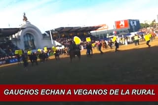 “Así vamos a sacar el lenguaje inclusivo de la provincia el año que viene”: la chicana de Joaquín de la Torre