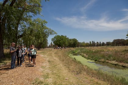 Con una amplia variedad de árboles añejos y plantas nativas, Azzurra Tortugas se convirtió en el único proyecto de la zona que pone el foco en la naturaleza como el nuevo lujo.