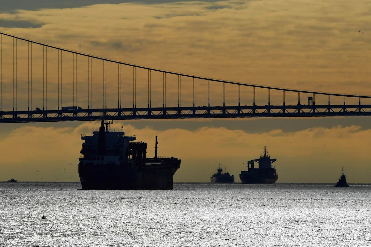 Con una baja del 13% en términos interanuales, definitivamente el mes de diciembre no fue bueno en materia de intercambio comercial para la Argentina