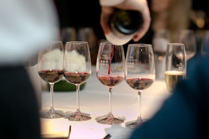 Con una cata de vinos irrepetibles, el principal club de vinos del país celebró un año desde el lanzamiento de las novedosas etiquetas que elabora junto a reconocidos winemakers