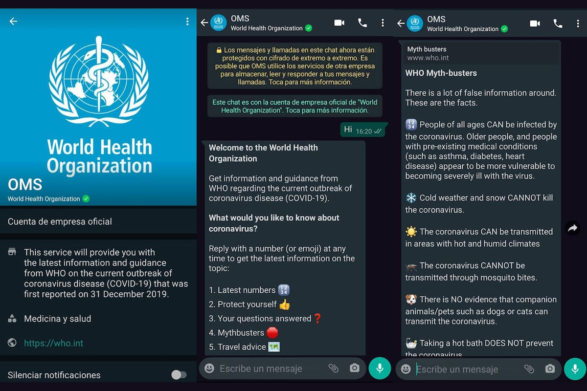 Con una cuenta verificada, la Organización Mundial de la Salud busca responder las consultas sobre la pandemia de coronavirus con un chatbot en WhatsApp