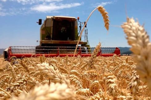 La economía cerró 2025 con un crecimiento promedio de 4,4%