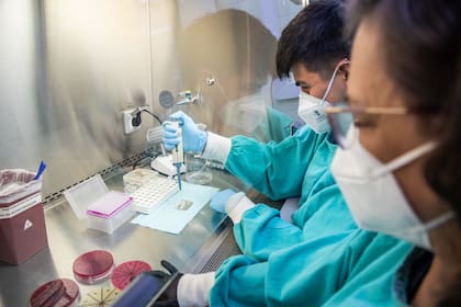 Con una inversión de $295 millones, la obra permitirá optimizar la respuesta ante brotes de enfermedades asociadas al consumo de alimentos y agua contaminada, además de mejorar la coordinación entre equipos especializados