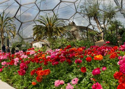 Concebido por Tim Smith y diseñado por el arquitecto Nicholas Grimshaw, Proyecto Edén busca convertirse en un complejo medioambiental