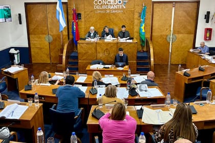 Concejo deliberante de Lomas de Zamora