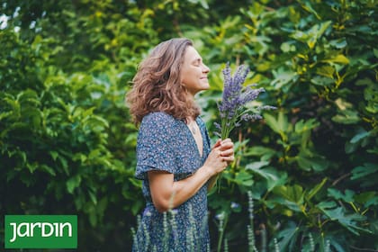 Concentrados, aromáticos y efectivos, los aceites de las plantas pueden ayudar a aliviar estrés, dolores y fatiga