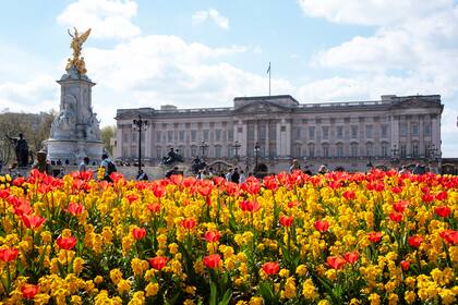Condenan a empleada de una guardería en Reino Unido acusada de agresiones "sádicas" a 21 bebés