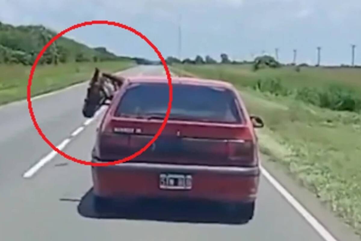 Conducía por una ruta de Córdoba con un caballo en el asiento trasero de su auto