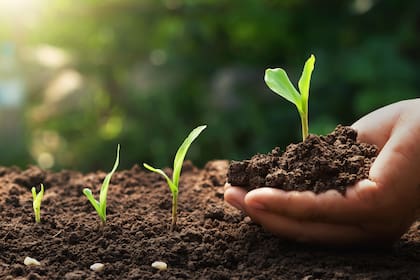 “Conectados por la Tierra”. La campaña que muestra el trabajo del productor agropecuario.