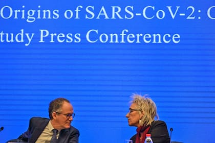 Conferencia de la Organización Mundial de la Salud (OMS) en Wuhan