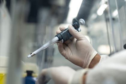 Confirmaron el primer caso de Mpox Clado Ib, una variante más contagiosa y severa de la viruela símica