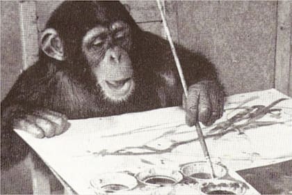 Congo, el chimpancé que brilló en Londres por su arte