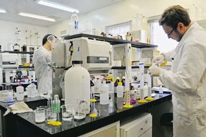 Conicet: ya no hay límite de edad para acceder a una beca