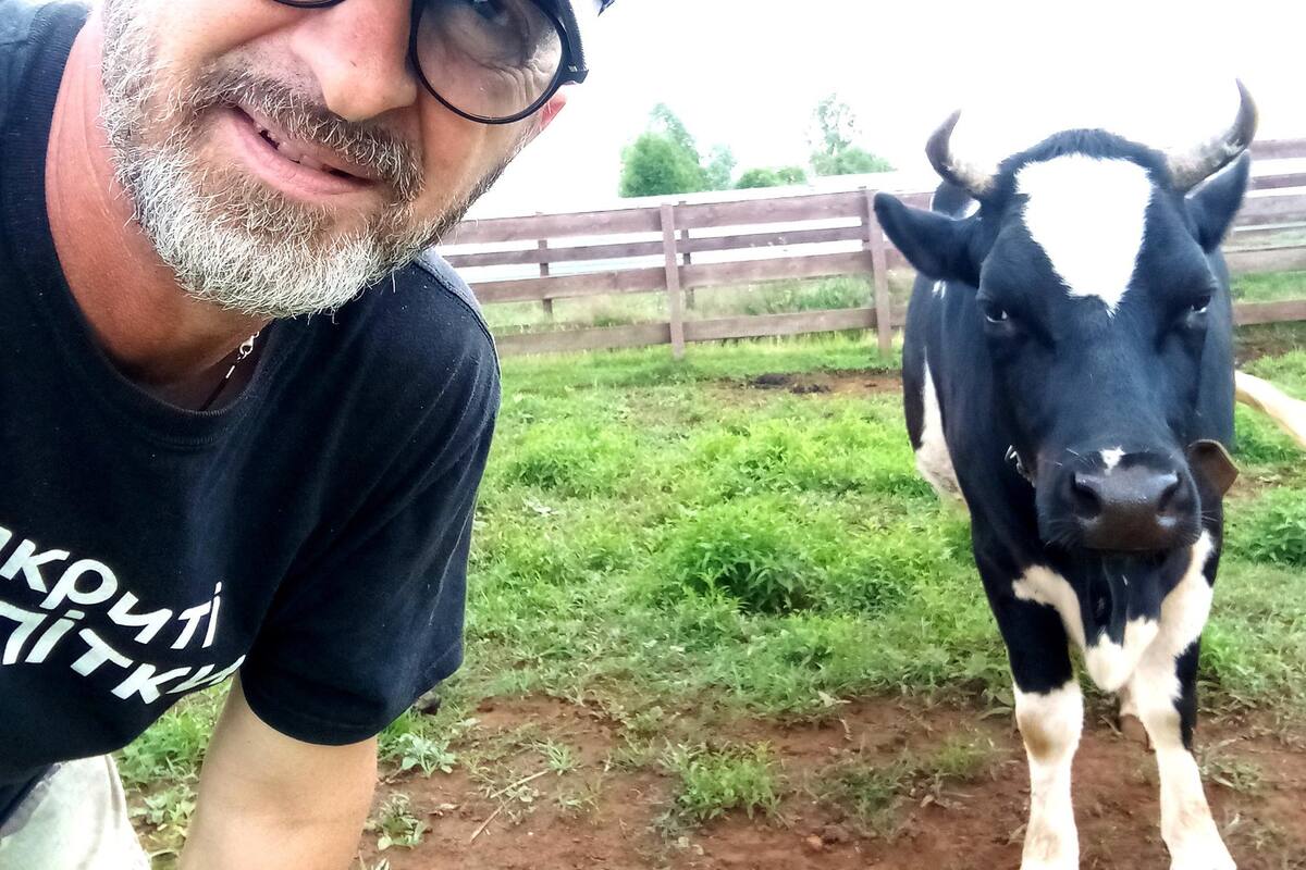 Conmovido al conocer la historia de una matanza de perros callejeros en Ucrania, Andrea Cisternino se radicó en ese país para detener esa realidad