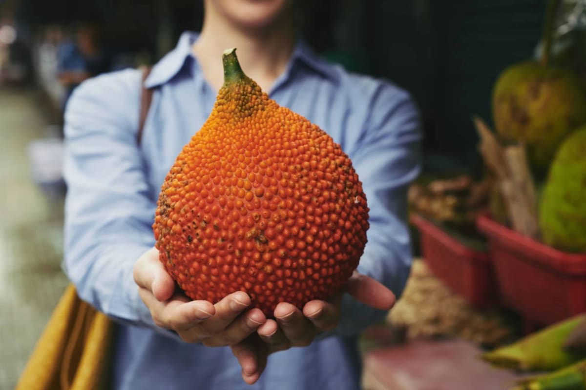 Conocé la fruta tropical más grande del mundo que regula el azúcar y es ideal para vegetarianos