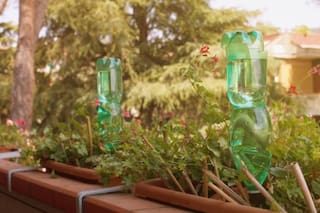El truco infalible a base de agua y vinagre para eliminar las plagas de tu balcón