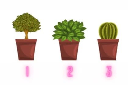 Conocé qué puntos fuertes tenés según la maceta que selecciones