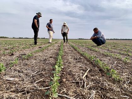 “Conocer el costo para cubrir los gastos fijos, el impacto de cada variación en el precio de la alimentación o el efecto de cada mejora en infraestructura permite anticipar decisiones”, resalta Gana