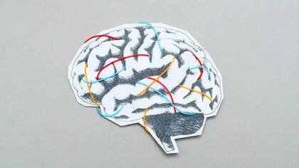 Conocer tu cerebro te puede ayudar a regularlo