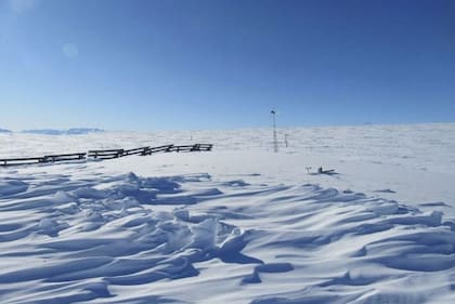 Conocido como Polo Norte, el Ártico es un territorio de hielo