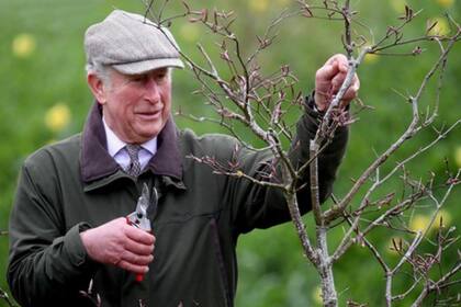Conocido por su afición por la naturaleza, el duque de Cornualles no volverá a alquilar la propiedad de Home Farm donde se dedica a la agricultura orgánica