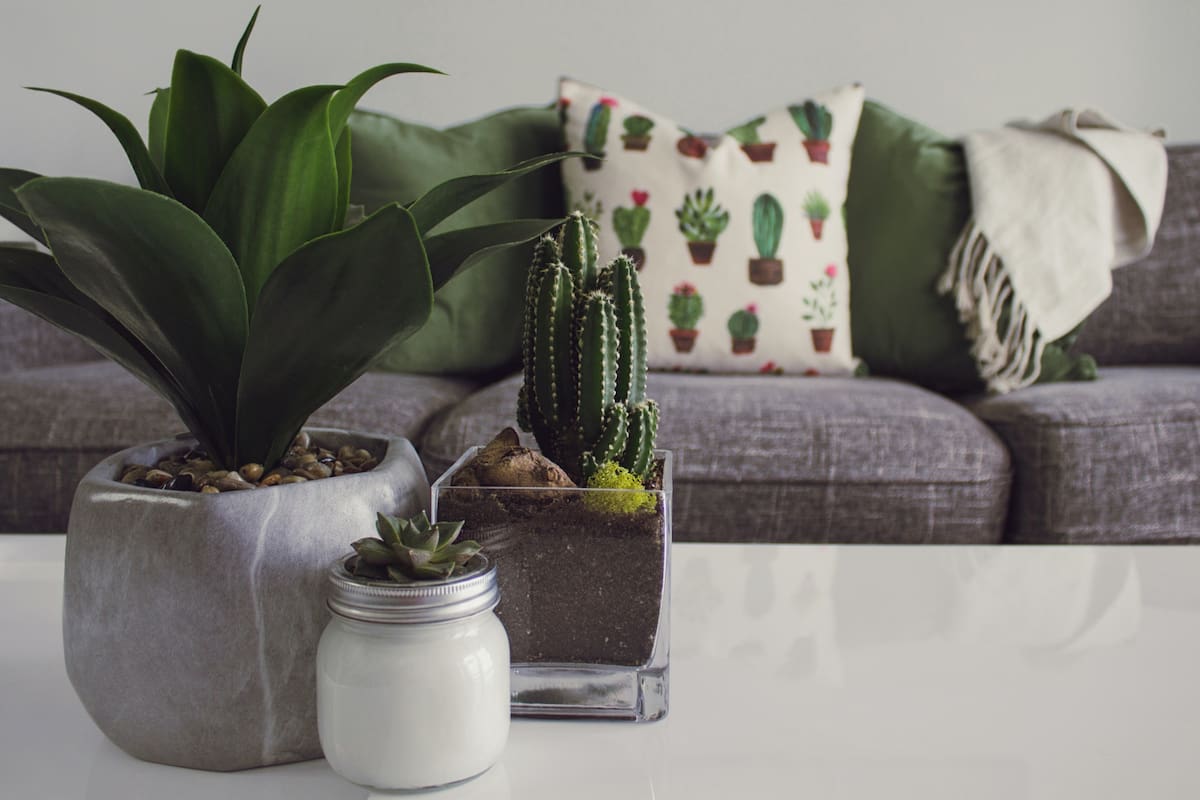 Consejos para eliminar las "malas vibras" de tu casa (Foto ilustrativa: Pexels)