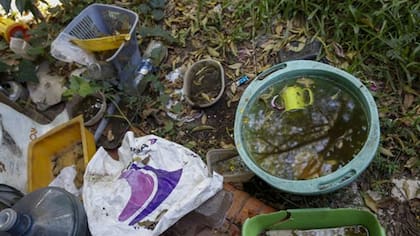 Los espacios donde se acumula agua estancada, sobre todo recipientes expuestos al aire libre, son reservorios ideales del mosquito Aedes aegipty y limpiarlos es una herramienta importante de prevención