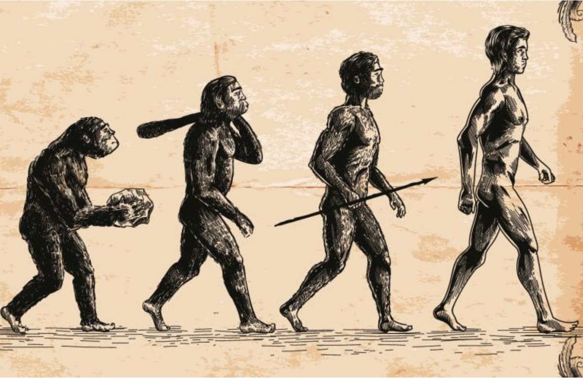 Consideraciones sobre la naturaleza humana
