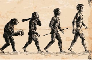 Consideraciones sobre la naturaleza humana