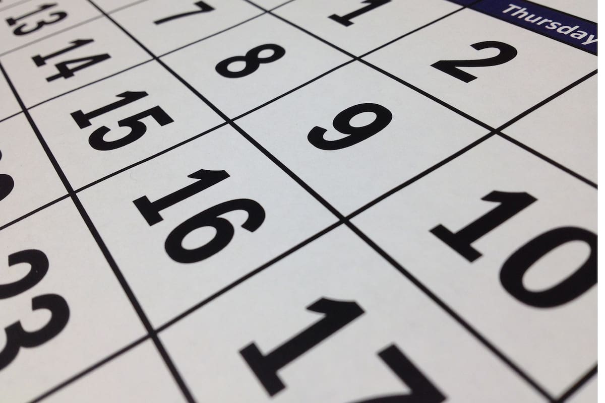 Consultá el calendario de feriados de agosto