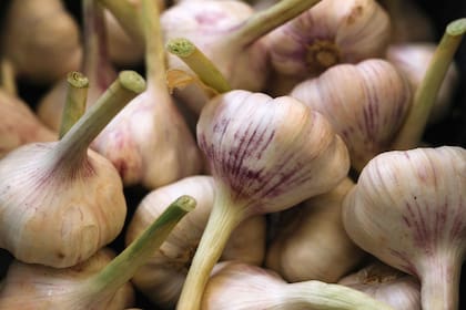 Consumir ajo con el estómago vacío puede producir malestar gastrointestinal, ventosidades y cambios en a flora intestinal