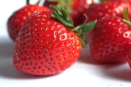 Consumir frutillas está relacionado con la disminución de riesgo de desarrollar enfermedades neurodegenerativas