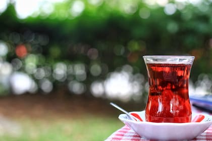 Consumir té a diario podría mejorar y retrasar el proceso de envejecimiento celular
