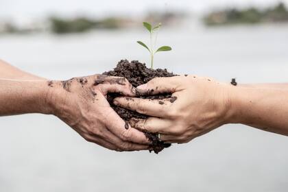 Consumo consciente, reciclaje, compostaje y hábitos sustentables.