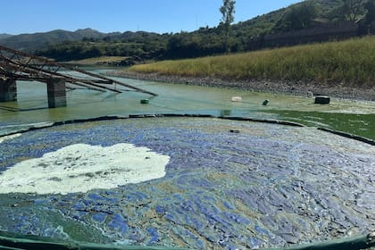 Contaminación del lago San Roque en Villa Carlos Paz