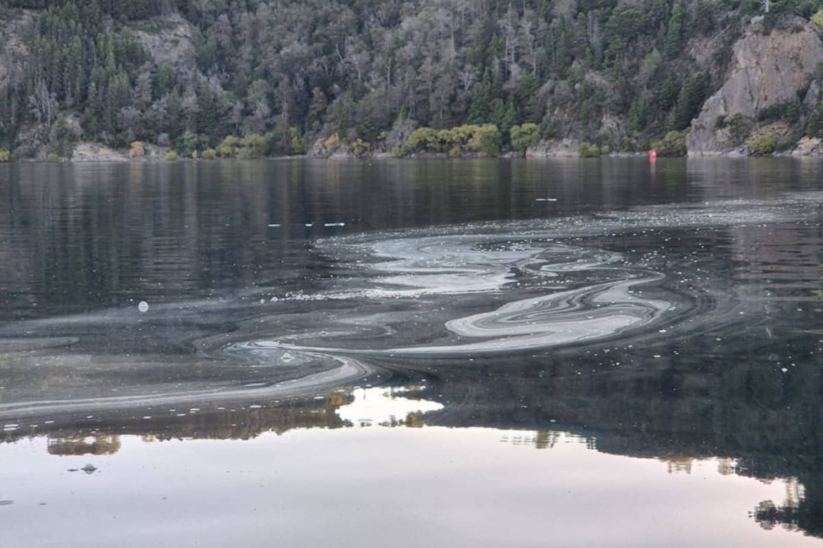 Contaminación en el lago Lacar de San Martín de los Andes.