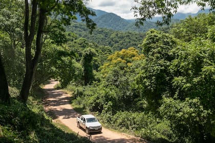 Contar con guía y 4 x 4 es de gran ayuda para atravesar los caminos.