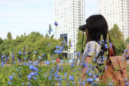 Contemplar pájaros se convirtió en un antídoto contra la hiperconectividad