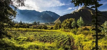 Contiene una granja ecológica en el exterior (Foto: Inkaterra Hacienda Urubamba)