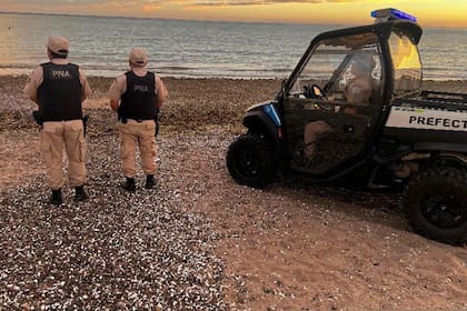 Continúa la búsqueda de la joven desaparecida en Puerto Madryn durante un bautismo de buceo.