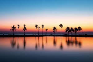 Continúan los días de clima fresco, pero agradable para disfrutar de los atractivos de Miami