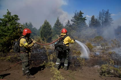 Continuan los incendios forestales en la zona de Epuyen