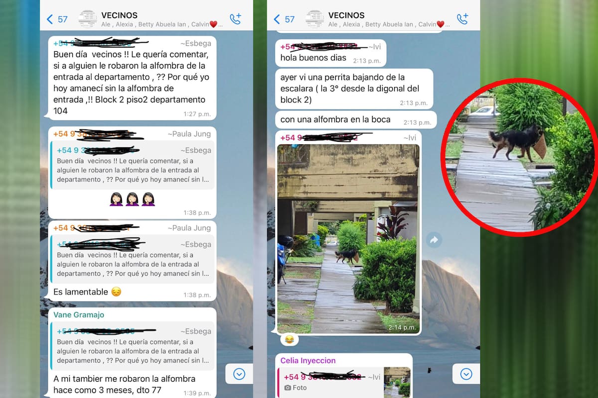 Contó en el chat del edificio que le robaron la alfombra de la entrada y una vecina desenmascaró al culpable.